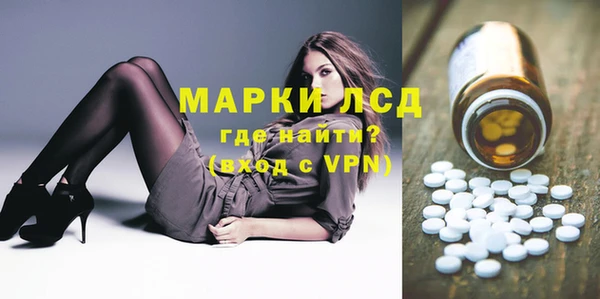 индика Богданович