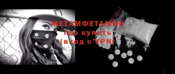 индика Богданович