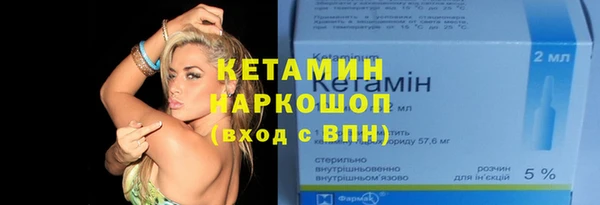 индика Богданович