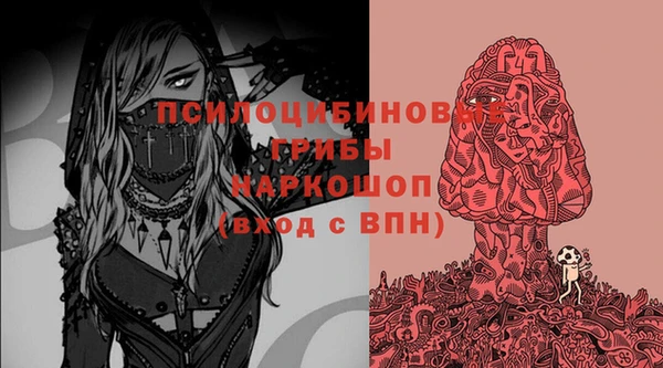 мяу мяу мука Бугульма