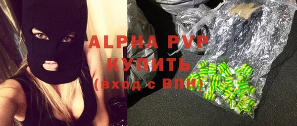индика Богданович