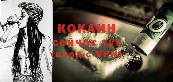 индика Богданович
