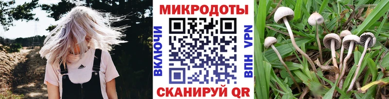 blacksprut ТОР  Менделеевск  Галлюциногенные грибы мухоморы 